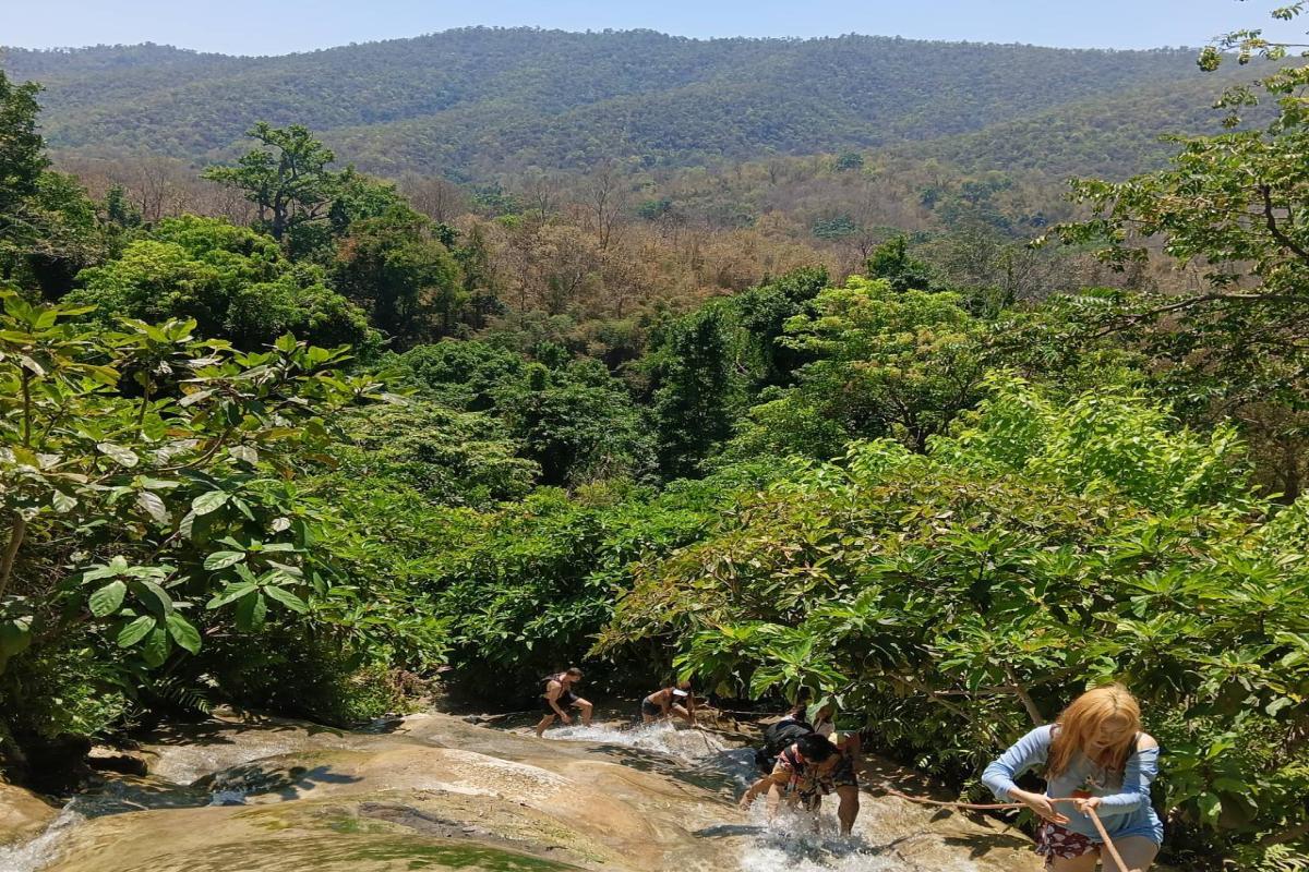 Buatong Waterfall+Elephant