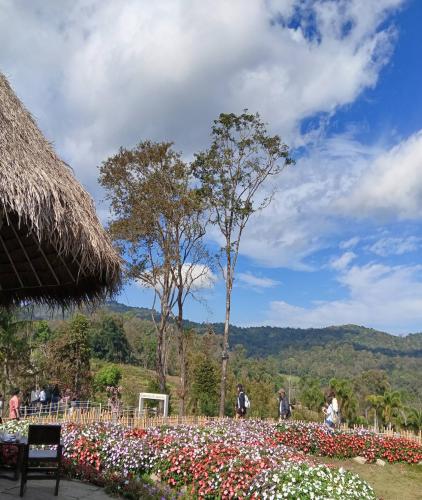 One day tour chiangmai