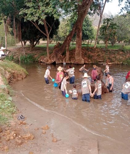 One day tour chiangmai