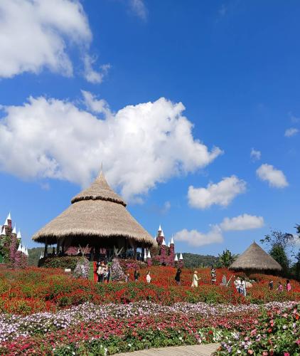 One day tour chiangmai