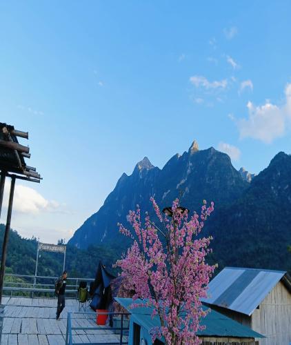 Chiang Dao and Mae Taeng Trip(ทริปเชียงดาว)