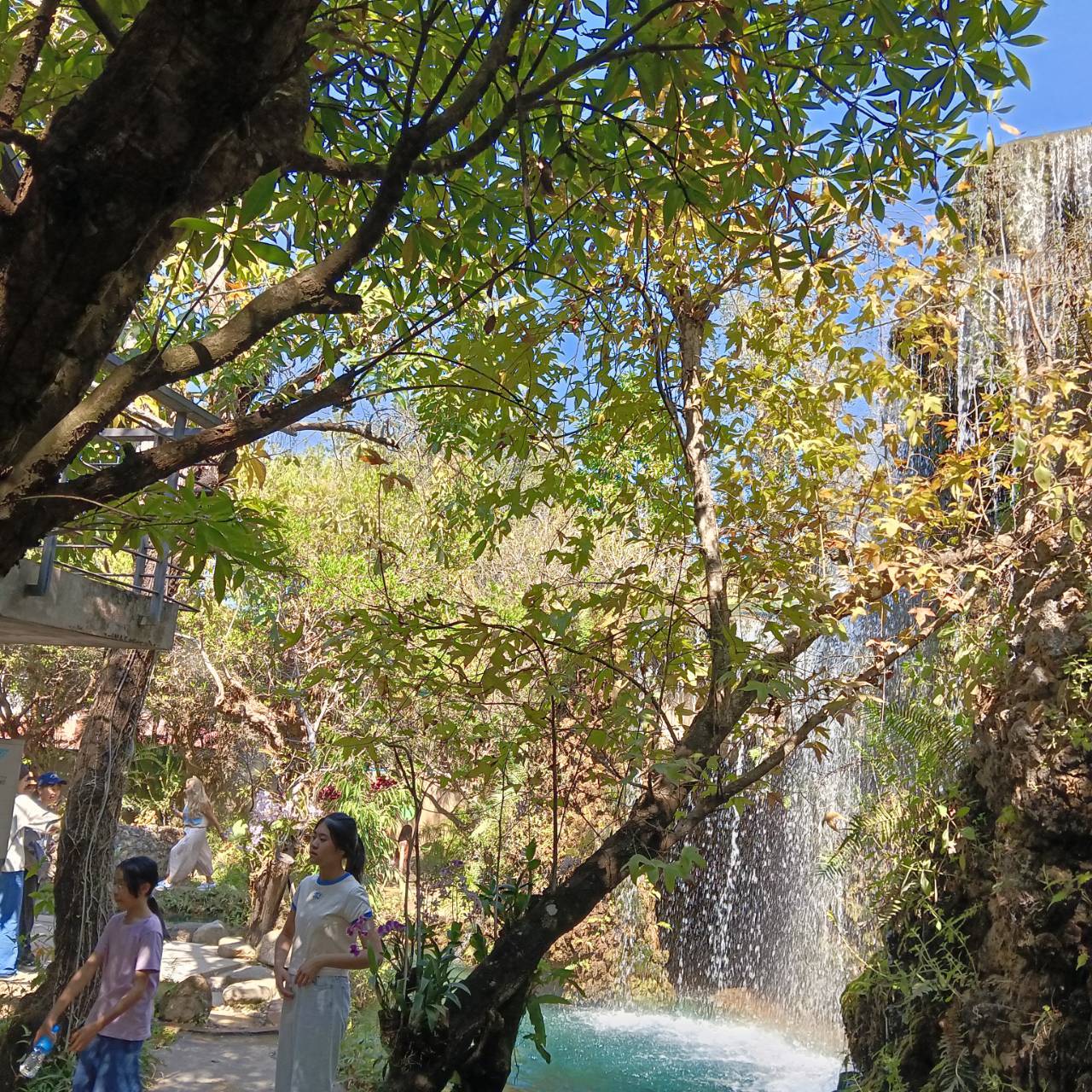 Dantawada Cafe(Angel Land)