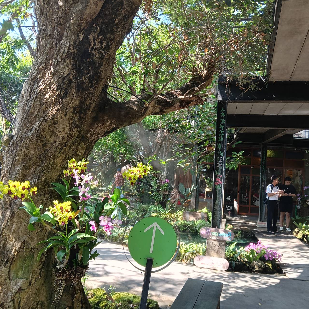 Dantawada Cafe(Angel Land)